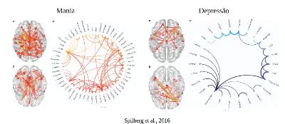 Connectivity Human に対する画像結果