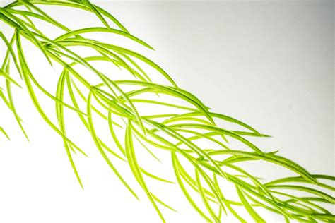 Image result for How Does the Python Threading Work