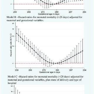 Neonatal Mortality Rate Formula に対する画像結果