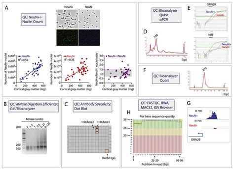 Afbeeldingsresultaten voor ChIP-seq