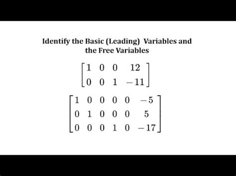 Image result for Basic Variables