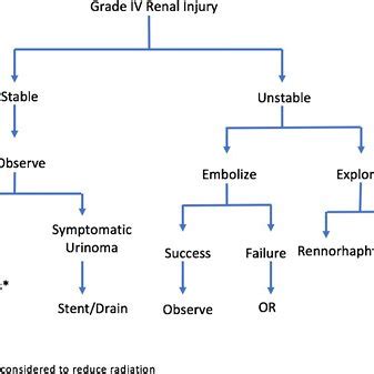 Afbeeldingsresultaten voor Pediatric Renal Trauma Algorithm