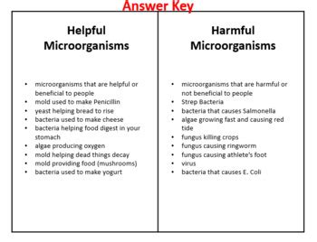 Image result for Helpful Microorganisms