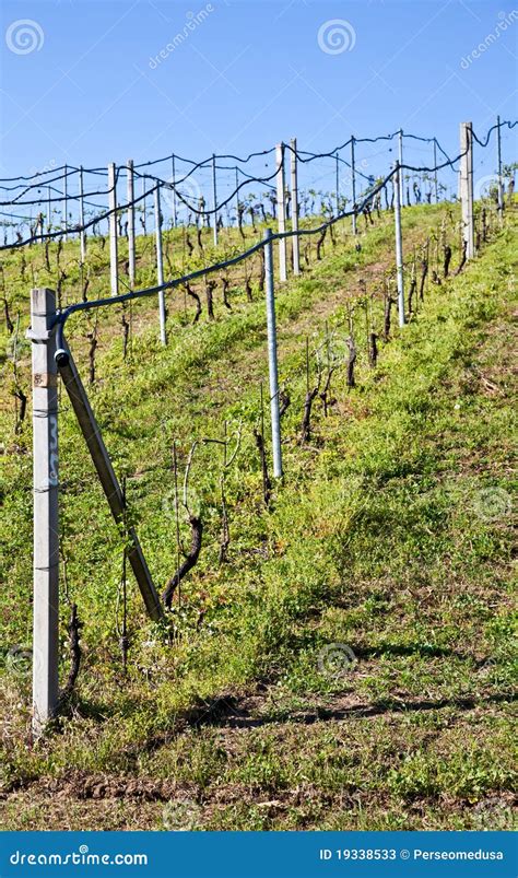 Image result for Edge Impulse Vineyard Irrigation