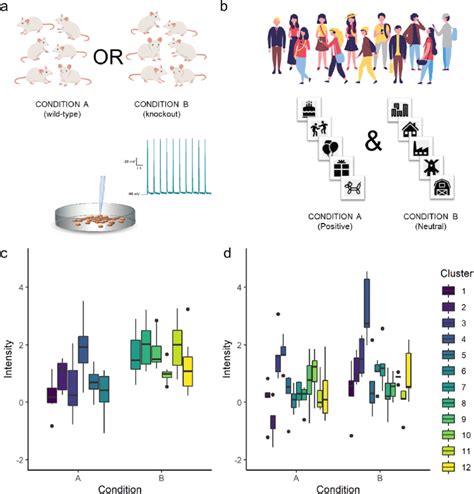 Image result for Nested Why