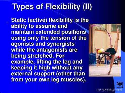 Image result for Example Ng Flexibility