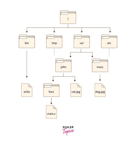 Image result for Eample of File Manager in OS
