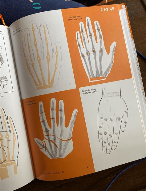 Image result for Cognitive Function Drawing