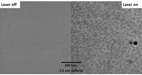 Image result for Phase Contrast Microscope Resolution