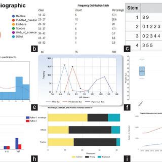 Toradh íomhá ar Descriptive Statistics Pie-Chart