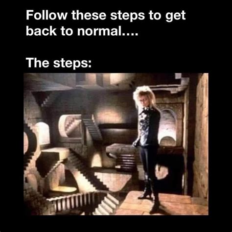 Image result for Back to Normal Fun