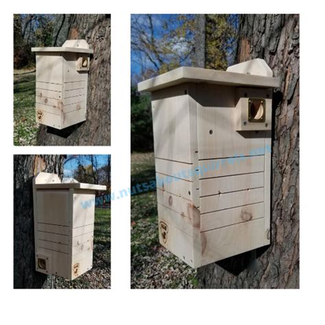 Fox Squirrel Nest Box に対する画像結果