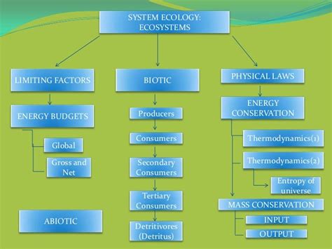 Ecosystem Concept Map Answer Key に対する画像結果
