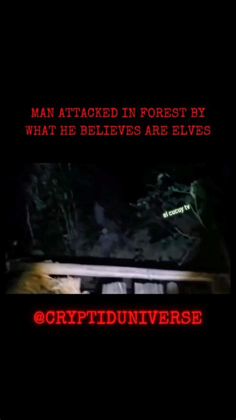 Cryptid Attacks ପାଇଁ ପ୍ରତିଛବି ଫଳାଫଳ