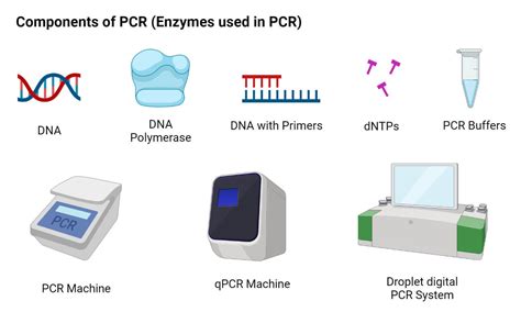 Image result for The First PCR Machine