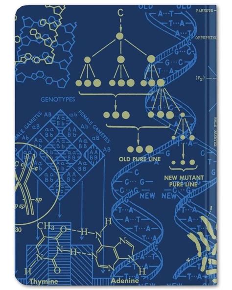 Afbeeldingsresultaten voor 4X6 Graph Notebook