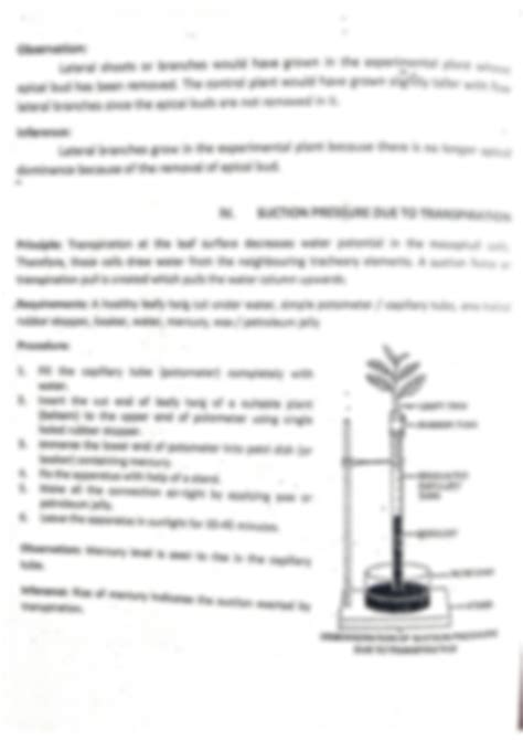Image result for Transpiration Suction