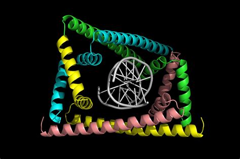 Image result for Reading DNA Animation