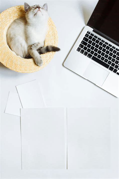 Image result for Animated Image of Computer