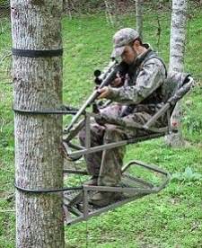 Most Comfortable Tree Climber-க்கான படிம முடிவு