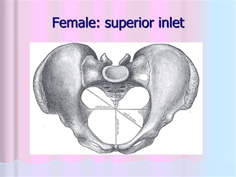 Image result for Maternal Module On System