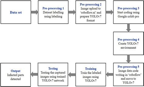 Image result for Yolov7 Algorithm Flowchart