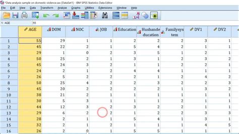 Image result for Continuous Variables Age Example