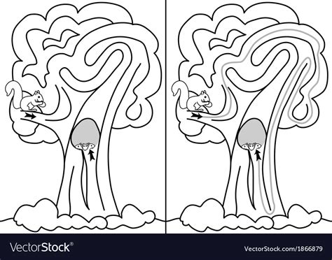 Image result for Squirrel Maze