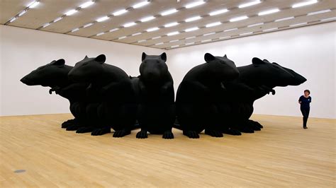 Toradh íomhá ar Proportion Designs