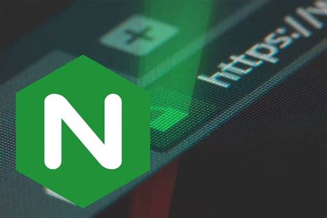 Image result for Nginx First Logo