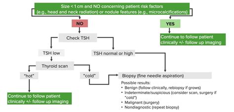 Image result for Thyroid Hormone Algorithm