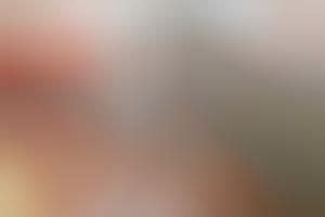 Image result for Small Batch Fermentation Kit