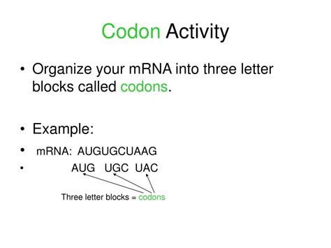 Image result for Transcription and Translation Example