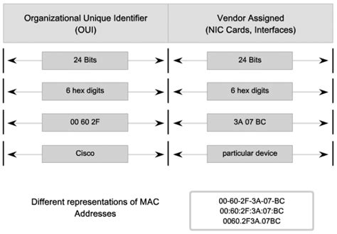 Image result for Mac Address Example