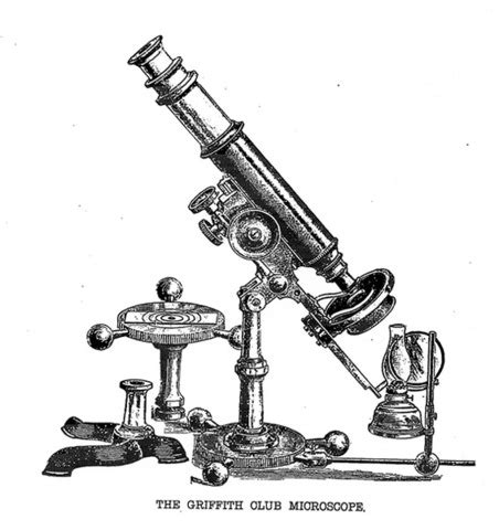 Image result for The First Ever Microscope