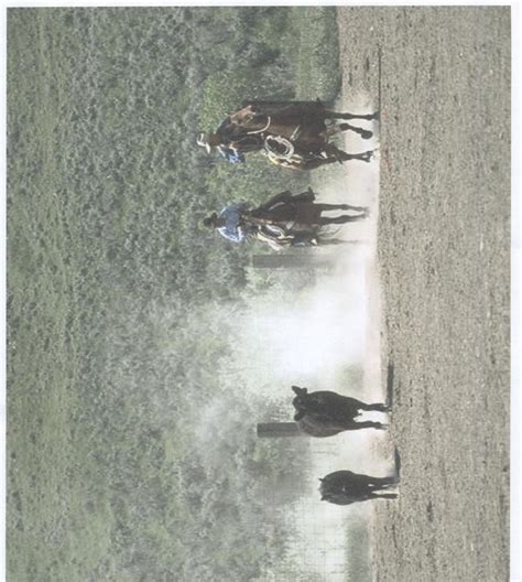 Examples of Good Descriptive Paragraphs に対する画像結果