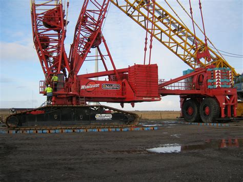 Image result for Crane Model