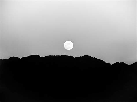 Paradise Portraits Edwin 的图像结果