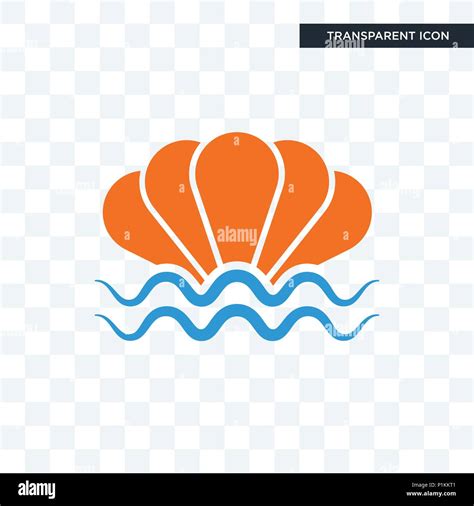 Image result for Shell Vector Transparent