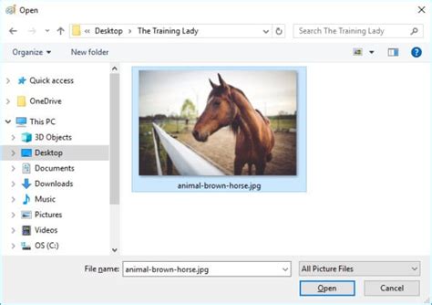 Image result for How to Crop Only a Part of a Picture in Paint