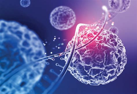 CG Cell Human に対する画像結果