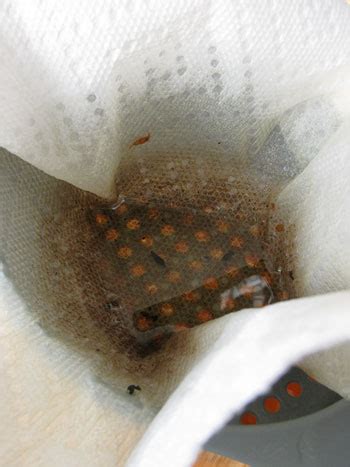 Afbeeldingsresultaten voor How to Filter Cooking Oil at Home