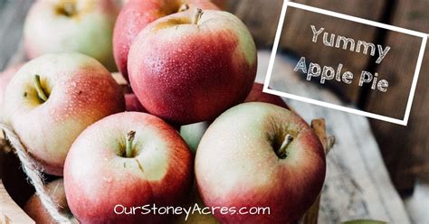 Image result for Apple Store Appt