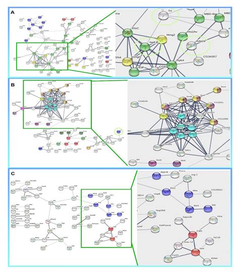 What Is String Database に対する画像結果