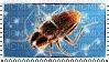 Image result for Computer Bug Stamp