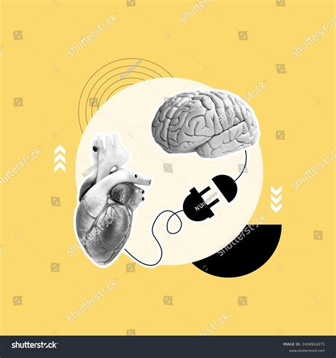 Image result for Emotion Brain