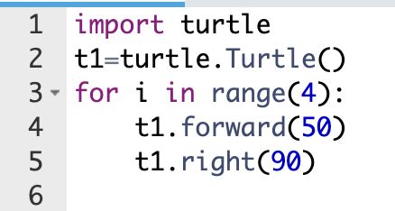 Image result for Turtle Loops in Python