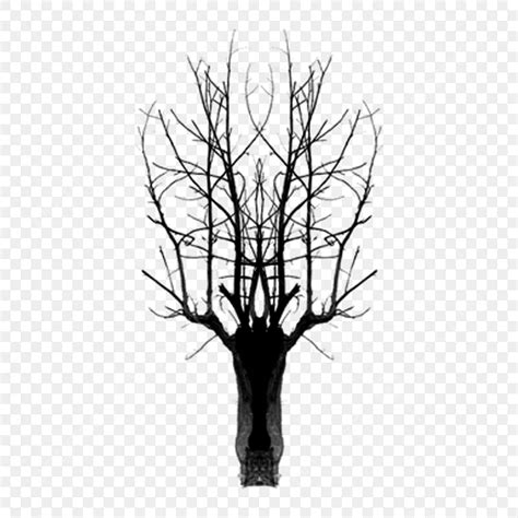 Image result for Simple Leafless Tree