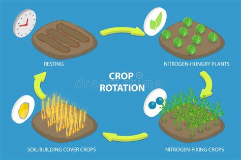 Image result for Crop Illustration Vector