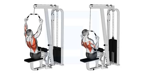 Image result for Seated Row Grips